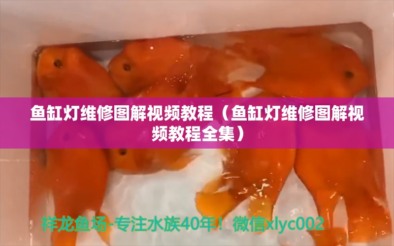 魚缸燈維修圖解視頻教程（魚缸燈維修圖解視頻教程全集）