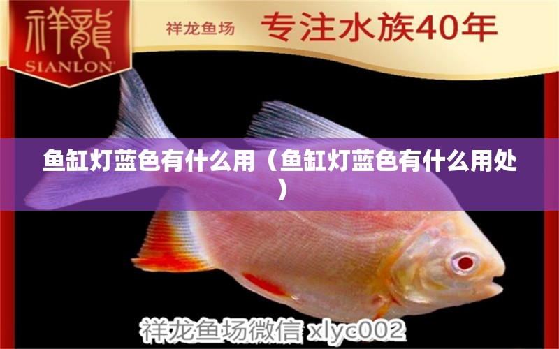 魚(yú)缸燈藍(lán)色有什么用（魚(yú)缸燈藍(lán)色有什么用處）