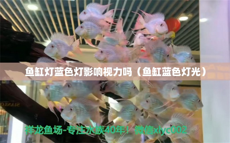 魚缸燈藍(lán)色燈影響視力嗎（魚缸藍(lán)色燈光）