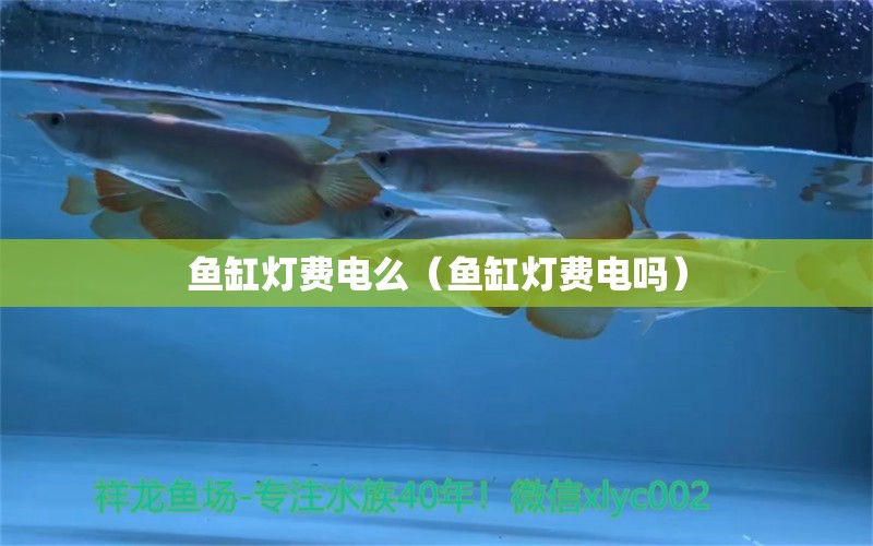 魚(yú)缸燈費(fèi)電么（魚(yú)缸燈費(fèi)電嗎）