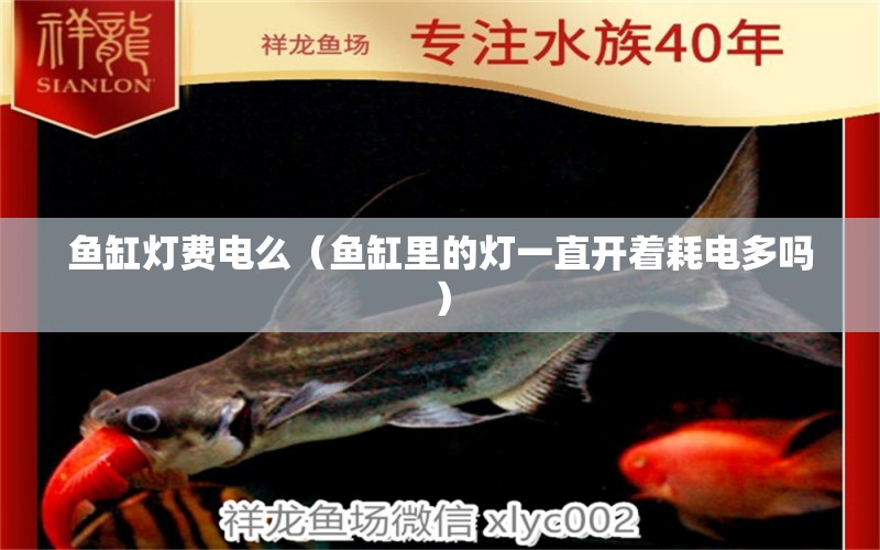 魚(yú)缸燈費(fèi)電么（魚(yú)缸里的燈一直開(kāi)著耗電多嗎） 2024第28屆中國(guó)國(guó)際寵物水族展覽會(huì)CIPS（長(zhǎng)城寵物展2024 CIPS）