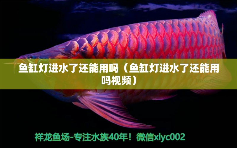 魚缸燈進(jìn)水了還能用嗎（魚缸燈進(jìn)水了還能用嗎視頻）