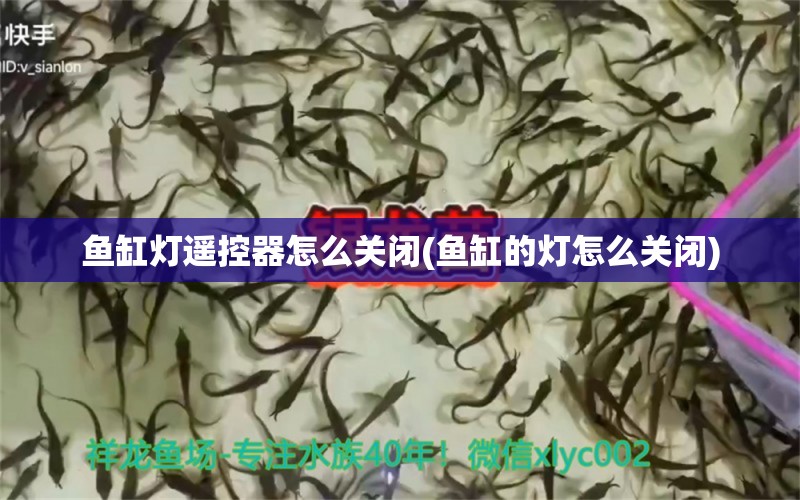 魚缸燈遙控器怎么關閉(魚缸的燈怎么關閉) 泰國虎魚（泰虎）