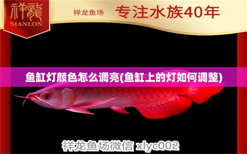 魚缸燈顏色怎么調(diào)亮(魚缸上的燈如何調(diào)整) 高背金龍魚 第1張