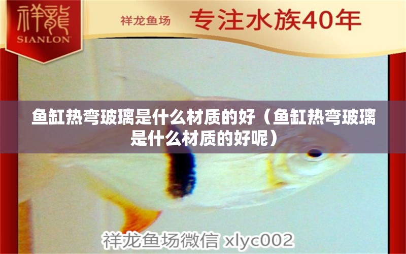 魚缸熱彎玻璃是什么材質(zhì)的好（魚缸熱彎玻璃是什么材質(zhì)的好呢） 硝化細菌