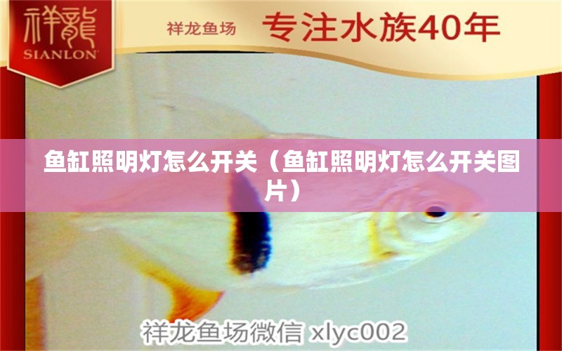 魚缸照明燈怎么開關(guān)（魚缸照明燈怎么開關(guān)圖片） 博特水族