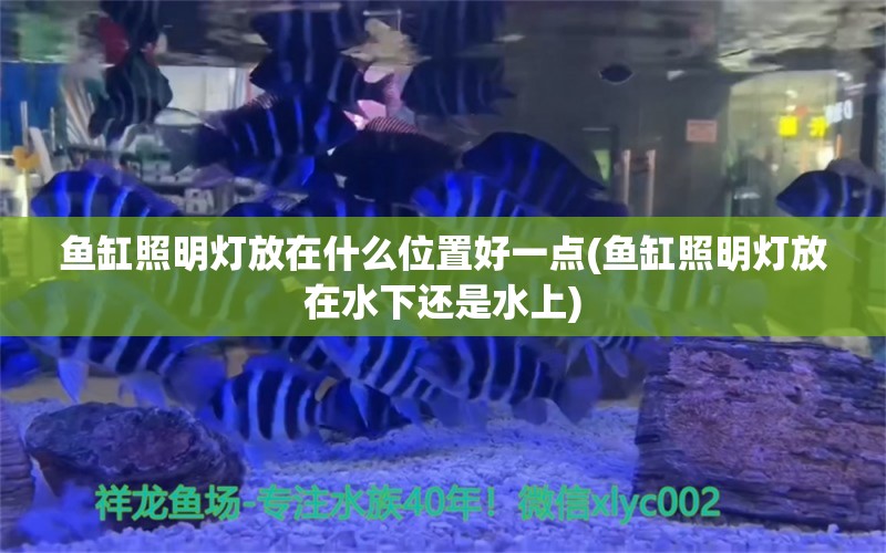 魚缸照明燈放在什么位置好一點(魚缸照明燈放在水下還是水上) 金頭過背金龍魚