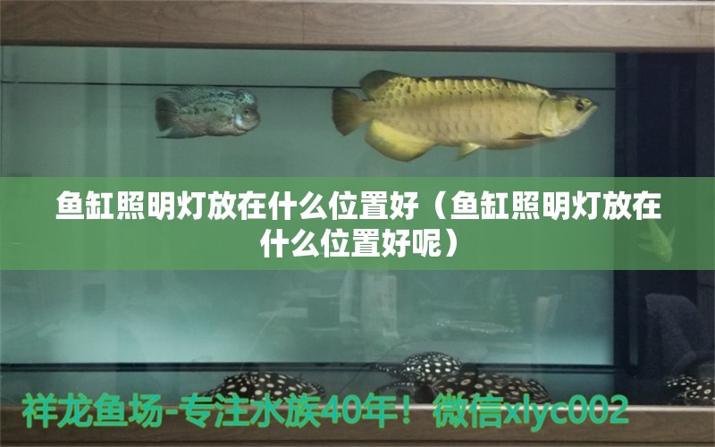 魚缸照明燈放在什么位置好（魚缸照明燈放在什么位置好呢） 藍帆三間魚