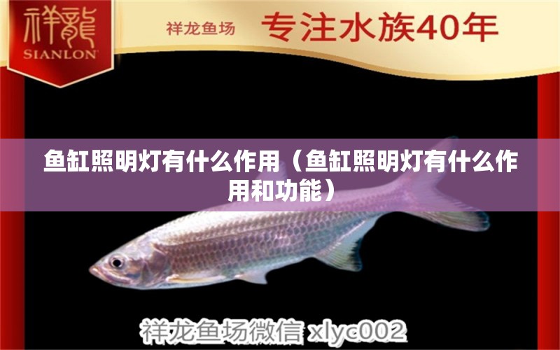 魚缸照明燈有什么作用（魚缸照明燈有什么作用和功能）