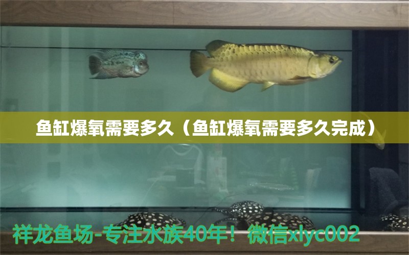 魚缸爆氧需要多久（魚缸爆氧需要多久完成）