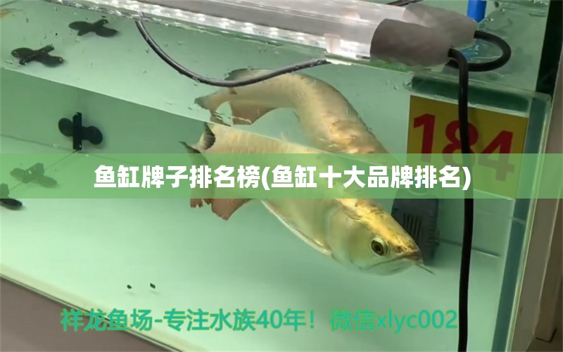 魚缸牌子排名榜(魚缸十大品牌排名)