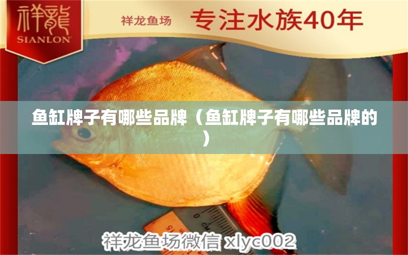 魚(yú)缸牌子有哪些品牌（魚(yú)缸牌子有哪些品牌的） 紅白錦鯉魚(yú)