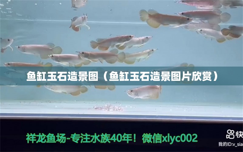 魚缸玉石造景圖（魚缸玉石造景圖片欣賞） 廣州觀賞魚批發(fā)市場