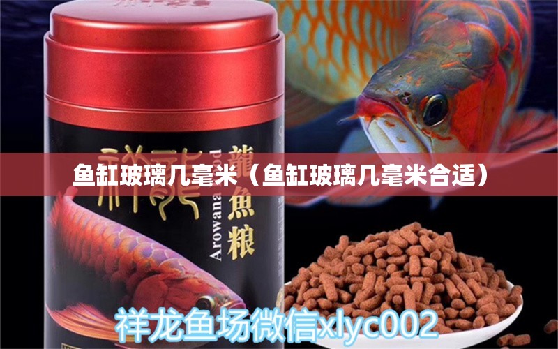 魚缸玻璃幾毫米（魚缸玻璃幾毫米合適） 其他品牌魚缸