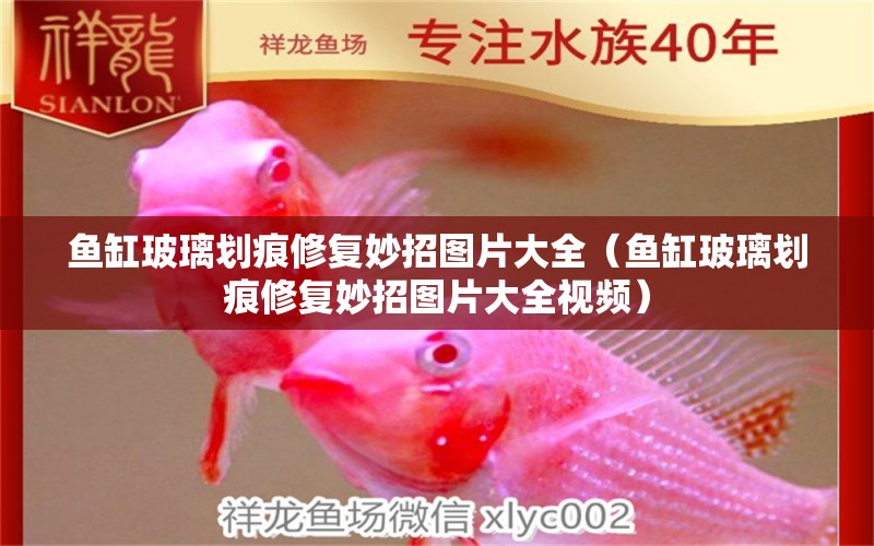 魚缸玻璃劃痕修復(fù)妙招圖片大全（魚缸玻璃劃痕修復(fù)妙招圖片大全視頻）