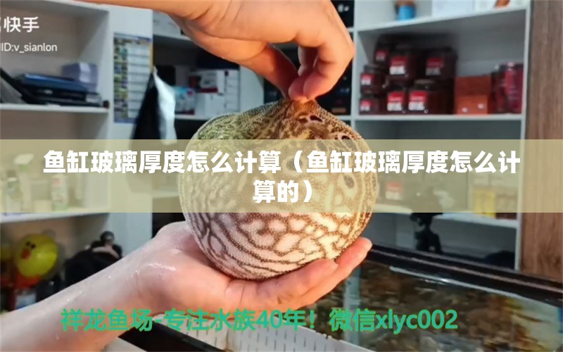 魚缸玻璃厚度怎么計(jì)算（魚缸玻璃厚度怎么計(jì)算的）