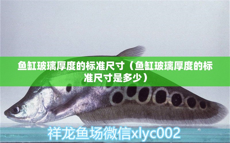 魚缸玻璃厚度的標(biāo)準(zhǔn)尺寸（魚缸玻璃厚度的標(biāo)準(zhǔn)尺寸是多少）