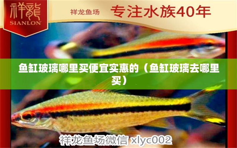 魚缸玻璃哪里買便宜實(shí)惠的（魚缸玻璃去哪里買） 觀賞魚批發(fā)