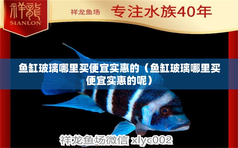 魚缸玻璃哪里買便宜實惠的（魚缸玻璃哪里買便宜實惠的呢） 大正錦鯉魚