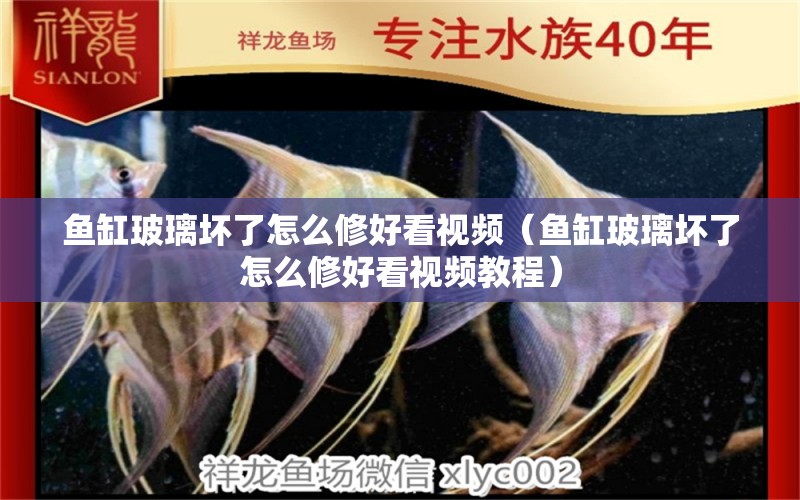 魚(yú)缸玻璃壞了怎么修好看視頻（魚(yú)缸玻璃壞了怎么修好看視頻教程）