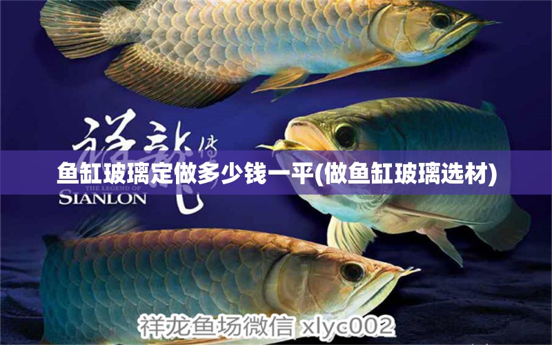 魚缸玻璃定做多少錢一平(做魚缸玻璃選材) 銀古魚苗