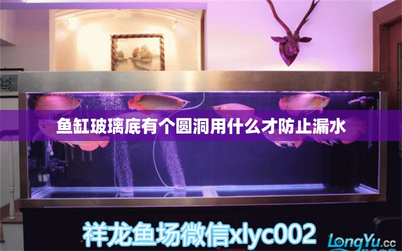 魚缸玻璃底有個圓洞用什么才防止漏水 觀賞魚