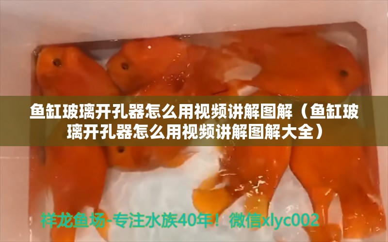 魚缸玻璃開孔器怎么用視頻講解圖解（魚缸玻璃開孔器怎么用視頻講解圖解大全）