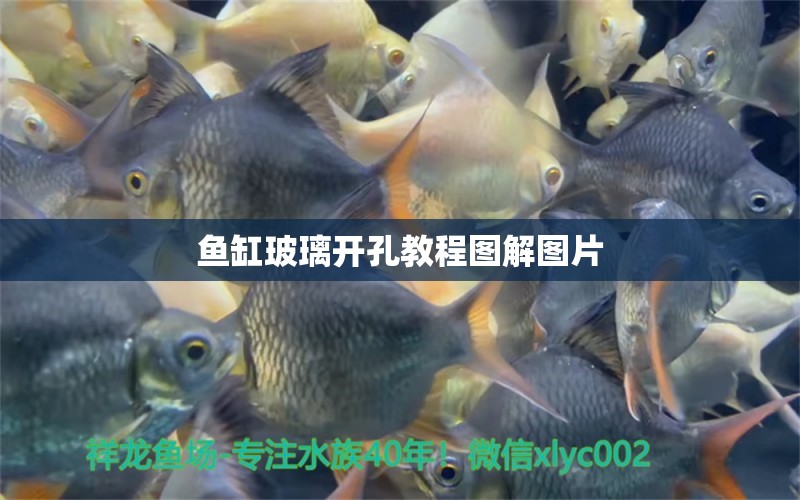 魚缸玻璃開孔教程圖解圖片