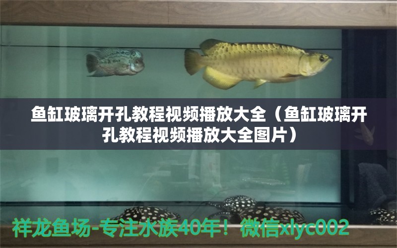 魚缸玻璃開孔教程視頻播放大全（魚缸玻璃開孔教程視頻播放大全圖片）