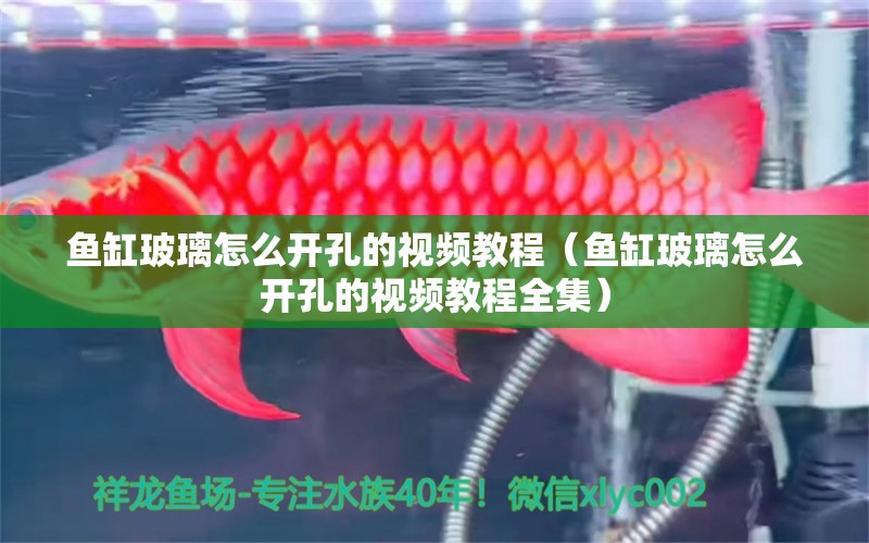 魚缸玻璃怎么開孔的視頻教程（魚缸玻璃怎么開孔的視頻教程全集）