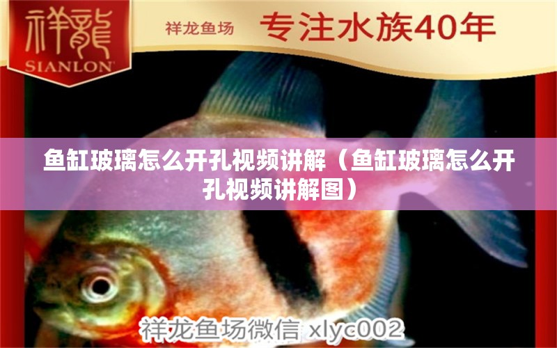 魚(yú)缸玻璃怎么開(kāi)孔視頻講解（魚(yú)缸玻璃怎么開(kāi)孔視頻講解圖）