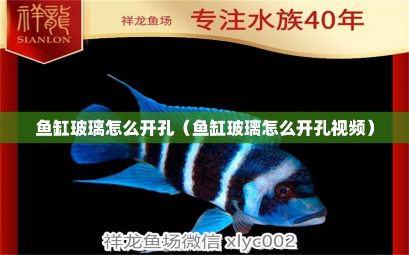 魚缸玻璃怎么開孔（魚缸玻璃怎么開孔視頻） 祥龍水族醫(yī)院