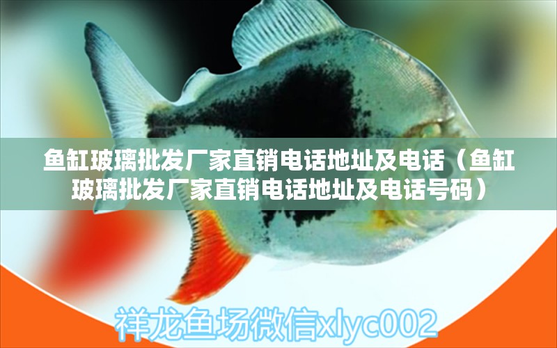 魚缸玻璃批發(fā)廠家直銷電話地址及電話（魚缸玻璃批發(fā)廠家直銷電話地址及電話號碼）