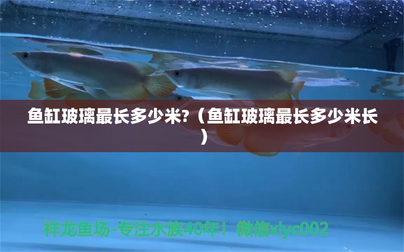 魚(yú)缸玻璃最長(zhǎng)多少米?（魚(yú)缸玻璃最長(zhǎng)多少米長(zhǎng)）