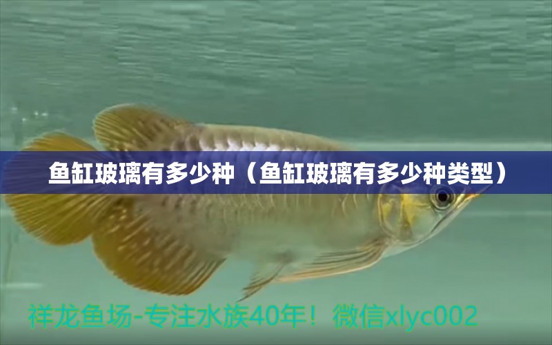 魚缸玻璃有多少種（魚缸玻璃有多少種類型）