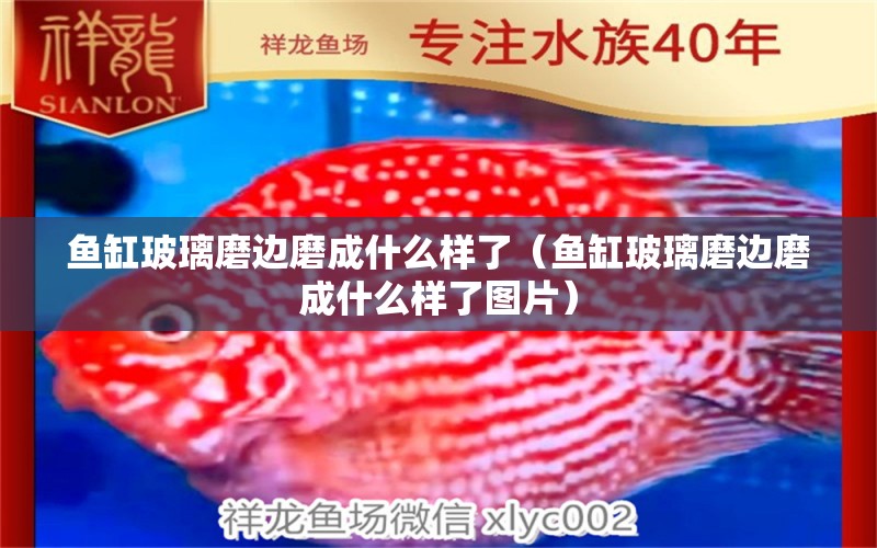 魚(yú)缸玻璃磨邊磨成什么樣了（魚(yú)缸玻璃磨邊磨成什么樣了圖片） 祥龍水族醫(yī)院