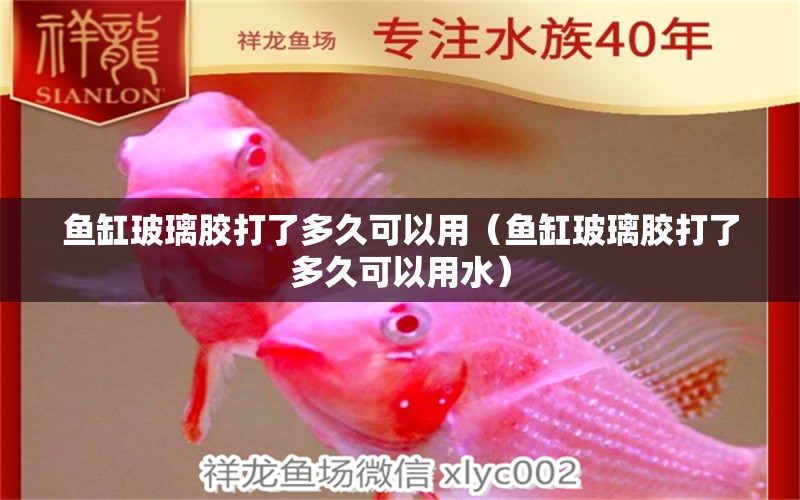 魚缸玻璃膠打了多久可以用（魚缸玻璃膠打了多久可以用水）