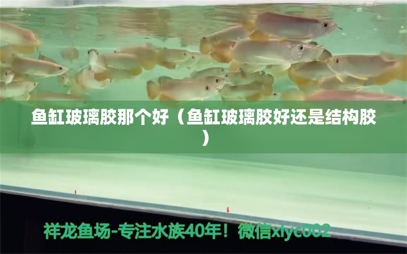 魚缸玻璃膠那個(gè)好（魚缸玻璃膠好還是結(jié)構(gòu)膠）