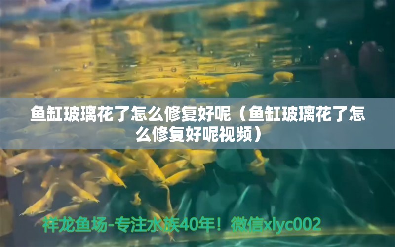 魚缸玻璃花了怎么修復好呢（魚缸玻璃花了怎么修復好呢視頻） 觀賞魚批發(fā)