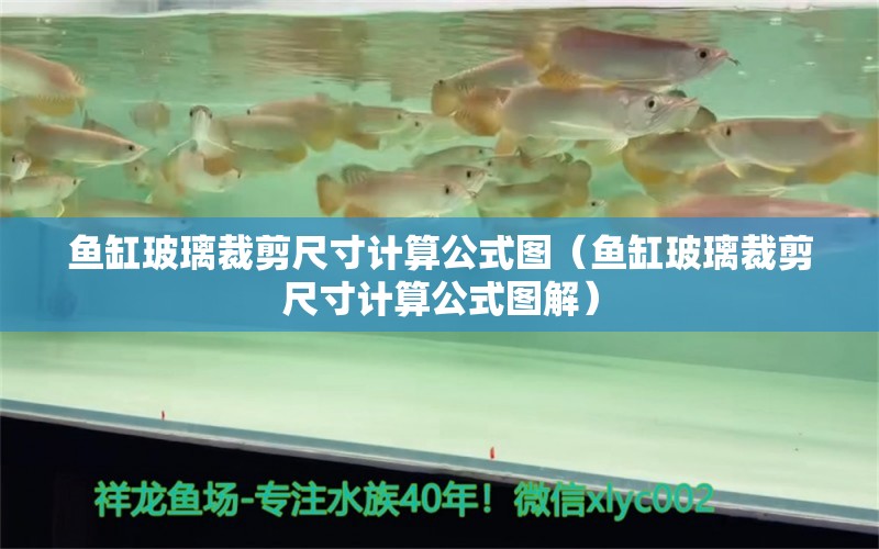 魚缸玻璃裁剪尺寸計算公式圖（魚缸玻璃裁剪尺寸計算公式圖解）