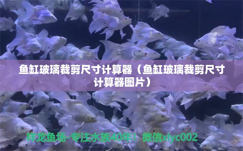 魚缸玻璃裁剪尺寸計算器（魚缸玻璃裁剪尺寸計算器圖片）