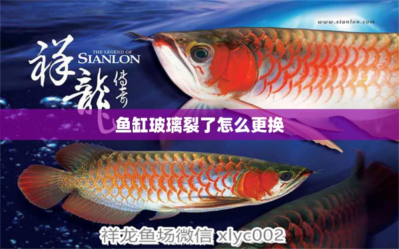 魚缸玻璃裂了怎么更換