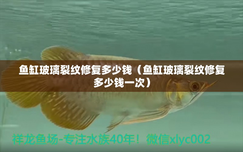 魚缸玻璃裂紋修復多少錢（魚缸玻璃裂紋修復多少錢一次） 白化火箭