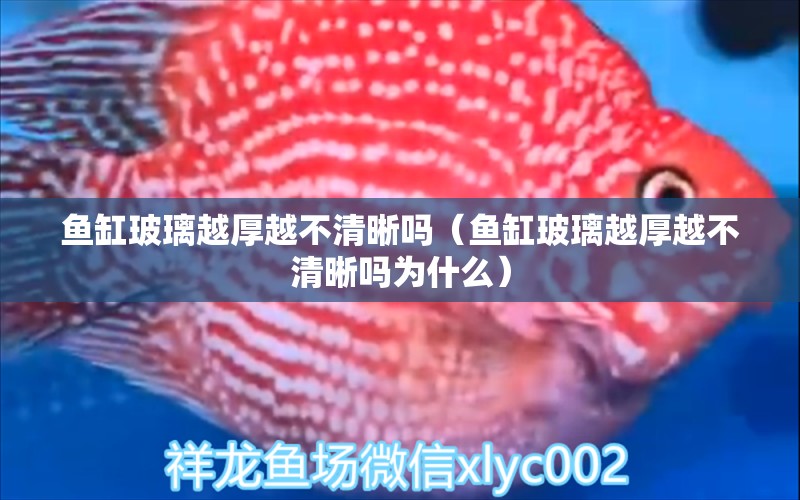 魚(yú)缸玻璃越厚越不清晰嗎（魚(yú)缸玻璃越厚越不清晰嗎為什么） 元寶鳳凰魚(yú)專(zhuān)用魚(yú)糧