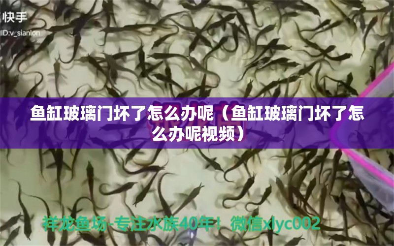 魚缸玻璃門壞了怎么辦呢（魚缸玻璃門壞了怎么辦呢視頻） 硝化細菌