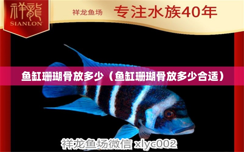 魚缸珊瑚骨放多少（魚缸珊瑚骨放多少合適） 其他品牌魚缸