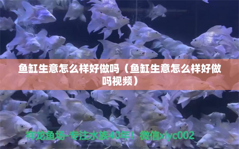 魚缸生意怎么樣好做嗎（魚缸生意怎么樣好做嗎視頻） 祥龍水族醫(yī)院