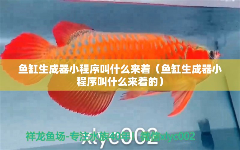 魚(yú)缸生成器小程序叫什么來(lái)著（魚(yú)缸生成器小程序叫什么來(lái)著的）