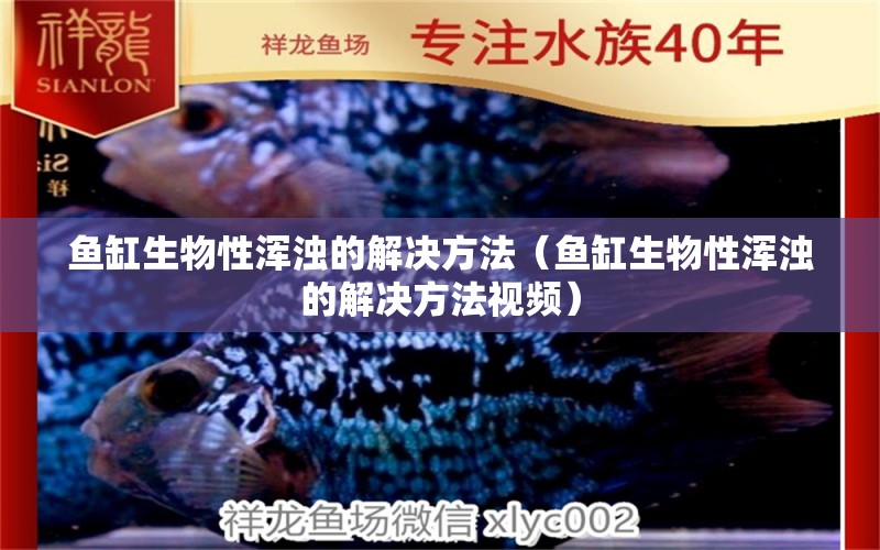 魚缸生物性渾濁的解決方法（魚缸生物性渾濁的解決方法視頻）