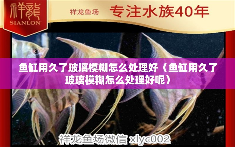 魚(yú)缸用久了玻璃模糊怎么處理好（魚(yú)缸用久了玻璃模糊怎么處理好呢）